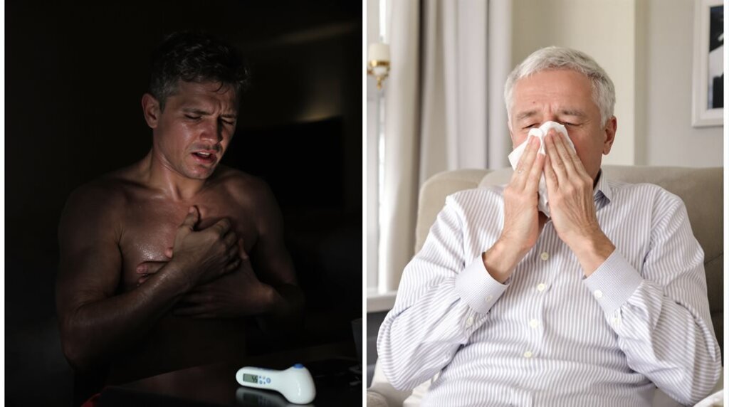 H3N2 Vs Typical Seasonal Flu Key Differences Explained 0002